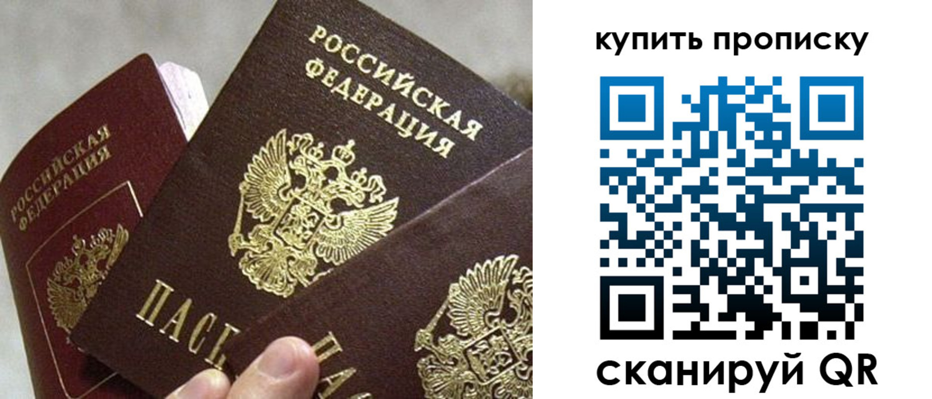 прописка для школы в Краснозаводске